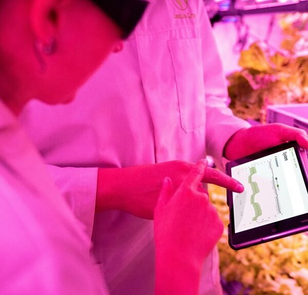 digital growth tool optimization